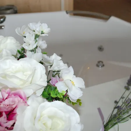 La Casa Di Alice Frühstückspension Villa San Secondo